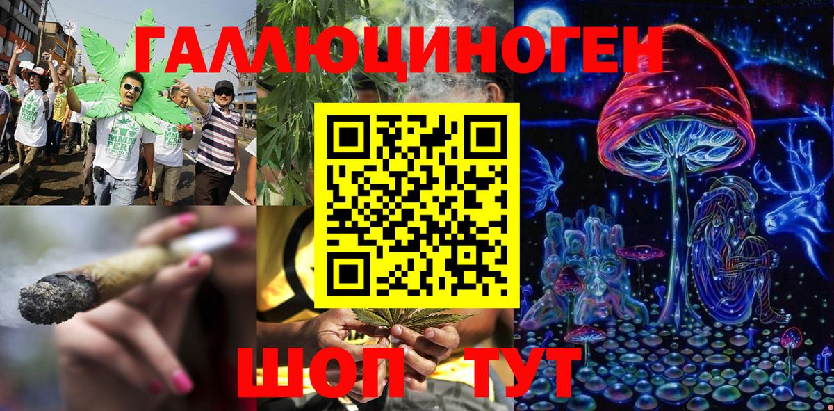 Галлюциногенные грибы MAGIC MUSHROOMS  Вход с VPN  Сунжа  закладка  Галлюциногенные грибы GOLDEN TEACHER 
