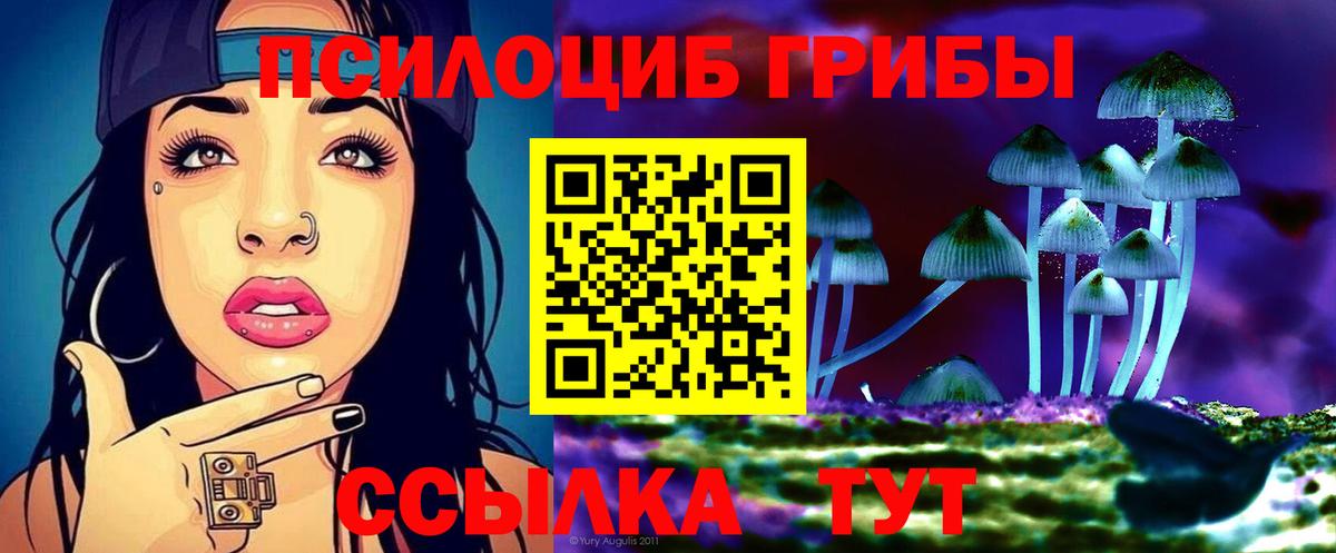 Псилоцибиновые грибы мицелий Сунжа