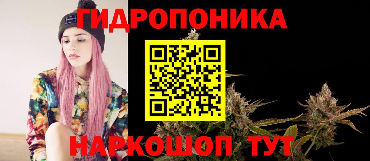 Шишки марихуана Amnesia Сунжа